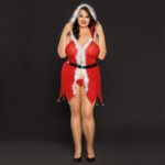 Plus Size Red Christmas Costume